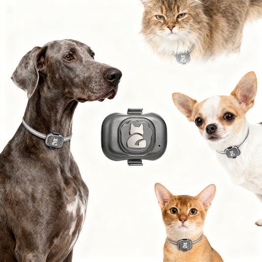 Localizzatore GPS per Cani e Gatti Impermeabile con App Gratuita – Tracciamento in Tempo Reale, Allarme Perimetrale, Cronologia Spostamenti, Batteria Ricaricabile 650mAh – Funziona con Scheda Nano SIM 2G – Monitora il Tuo Pet da Telefono o PC