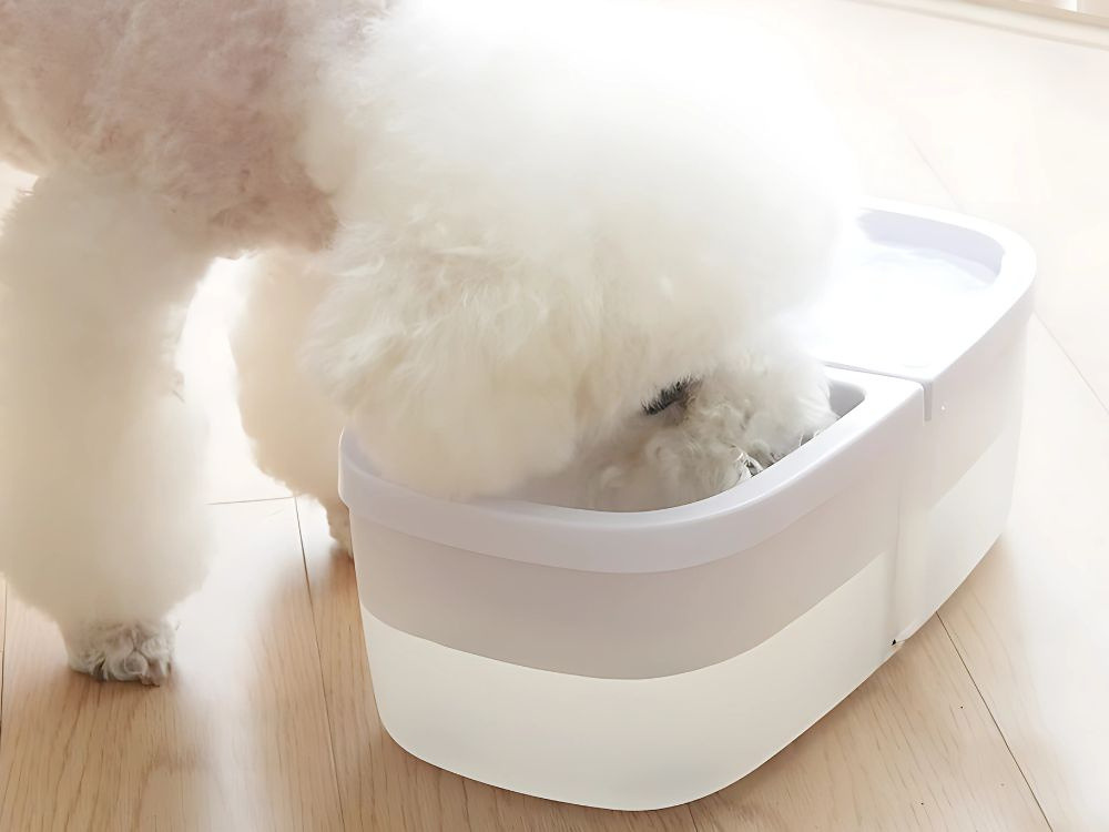 Fontana Ciotola Automatica per Cani e Gatti 2-in-1 – Abbeveratoio USB con Pompa Silenziosa 1W, Capacità 2,5L, 2 Filtri Inclusi – Per Acqua e Cibo – Ideale per Cani e Gatti