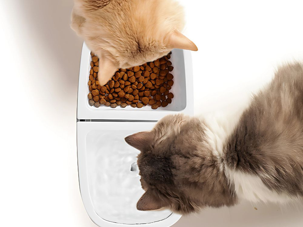 Fontana Ciotola Automatica per Cani e Gatti 2-in-1 – Abbeveratoio USB con Pompa Silenziosa 1W, Capacità 2,5L, 2 Filtri Inclusi – Per Acqua e Cibo – Ideale per Cani e Gatti