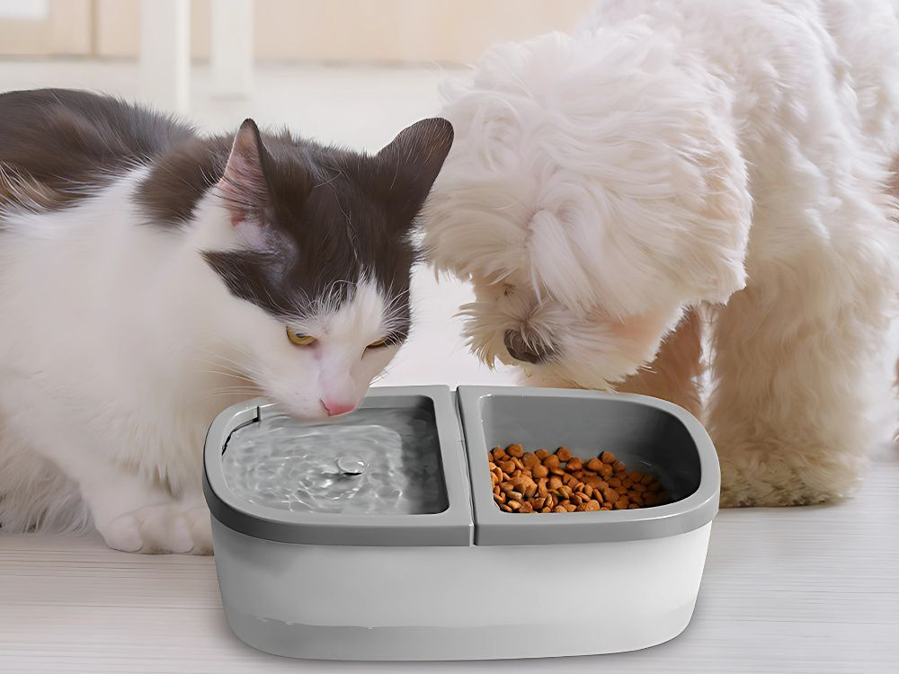 Fontana Ciotola Automatica per Cani e Gatti 2-in-1 – Abbeveratoio USB con Pompa Silenziosa 1W, Capacità 2,5L, 2 Filtri Inclusi – Per Acqua e Cibo – Ideale per Cani e Gatti