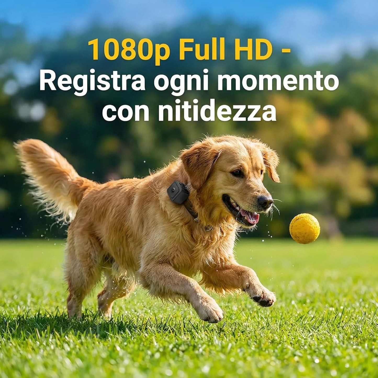 Telecamera per Cani e Gatti WiFi con Visione in Tempo Reale – Videocamera Portatile Full HD 1080P con Grandangolo 120°, Batteria 700mAh, Supporto Micro SD, Connessione Hotspot AP – Monitora il Tuo Pet