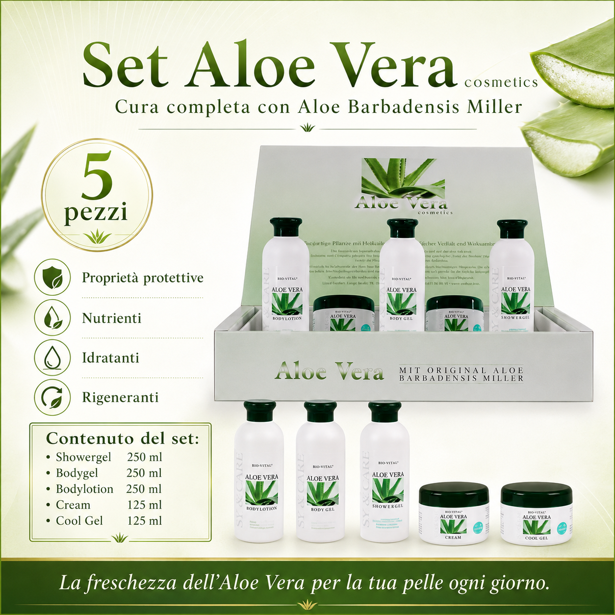 Set Cosmetico 5 Pezzi all'Aloe Vera Barbadensis Miller – Showergel, Bodygel, Bodylotion, Crema e Cool Gel – Cura Idratante e Rigenerante per Tutto il Corpo