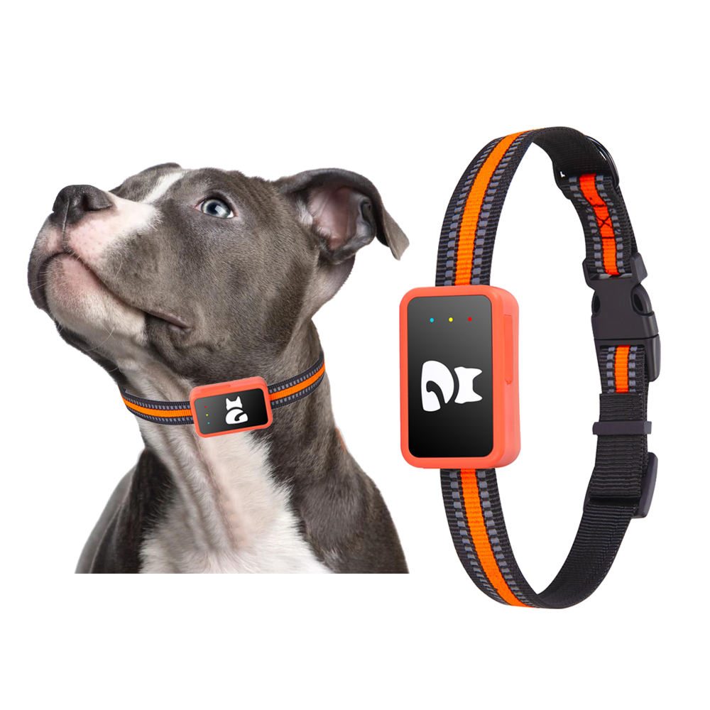 (G68p) Localizzatore GPS per Cani e Gatti Impermeabile con App Gratuita – Tracciamento in Tempo Reale, Allarme Perimetrale, Cronologia Spostamenti Funziona con Scheda Nano SIM 4G